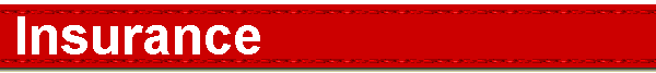  Insurance 
